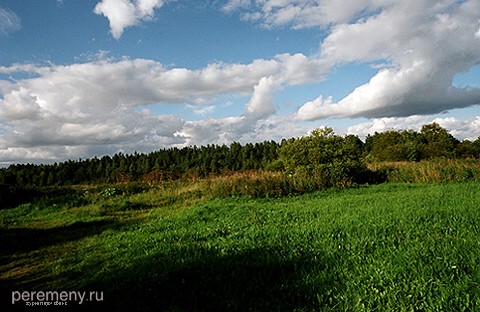 Там, где вдали виднеется лес, течет река Молога, а за ней могильник древних язычников